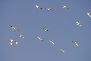 Ericeira_20Abril 038