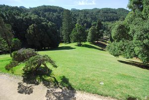 Seteais_Monserrate 146