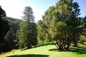 Seteais_Monserrate 150