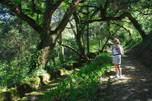 Seteais_Monserrate 265