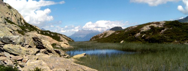 Hochmoor_Chamonix_and_Dent_de_Morcles