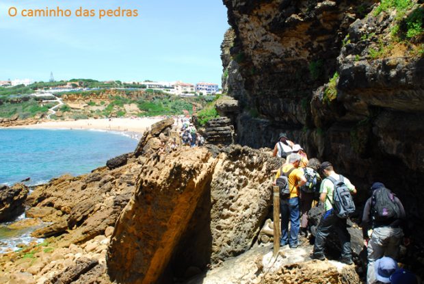 CAOS_Lisandro_Assente 071 copy