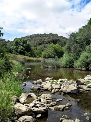 10 de Dezembro - Caminhada da Mostra de Doçaria em Alcáçovas