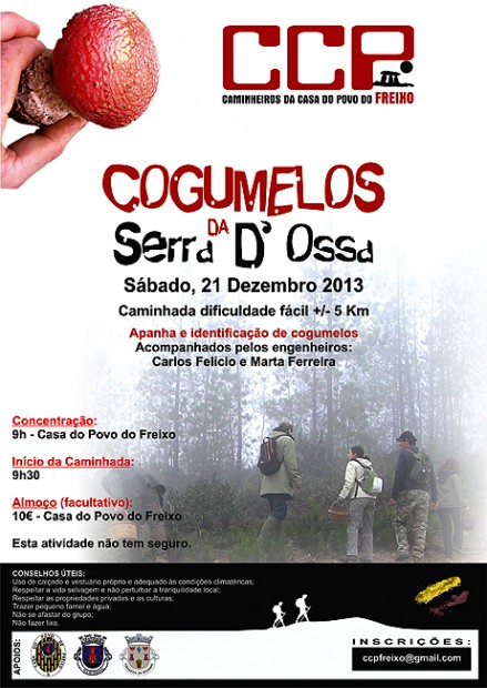 cogumelos2013