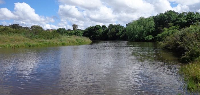 Estudo publicado na Nature conclui que recuperação da biodiversidade dos rios europeus estagnou na década de 2010