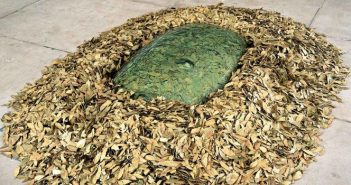 Exposição Arts of the Earth