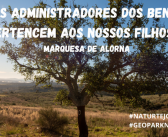 Parecer Naturtejo ao Estudo de Impacte Ambiental das Centrais Fotovoltaicas da Beira e Sophia