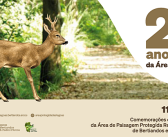 Área de Paisagem Protegida das Lagoas de Bertiandos e São Pedro d’Arcos celebra 25 anos ao Serviço da Natureza