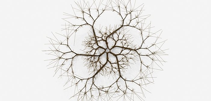 Ruth Asawa: Retrospetiva