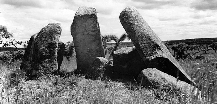 Exposição revela o legado do Arquivo Leisner e a riqueza arqueológica de Reguengos de Monsaraz